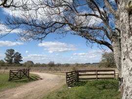 estancia