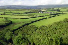 Exmoor