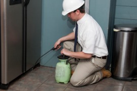 exterminator