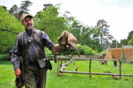 falconer