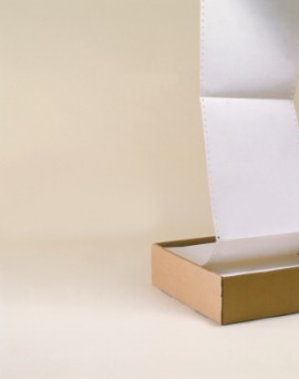 fanfold paper