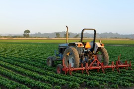 farmland
