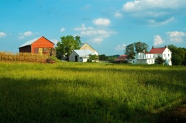 farmstead