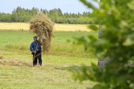 farmworker