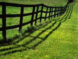 fence
