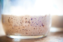 ferment definition