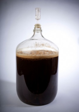 fermentation definition