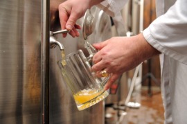 fermentative