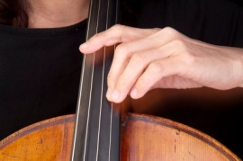 fingerboard