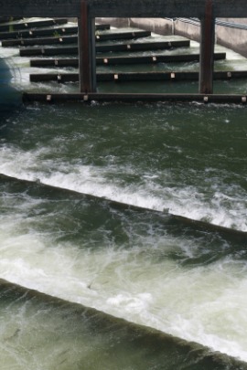 fish ladder