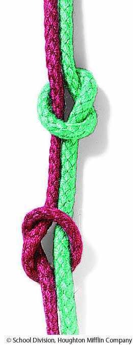 fisherman's knot