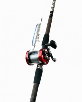 fishing rod