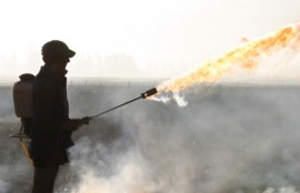 flamethrower