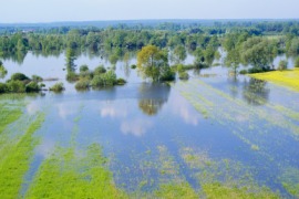 floodwater