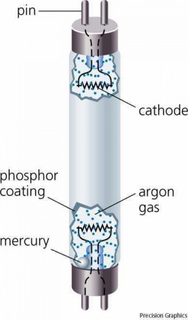 fluorescent lamp