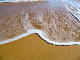 foamy