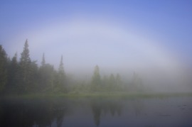 fogbow