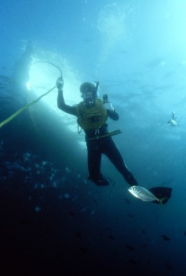 frogman