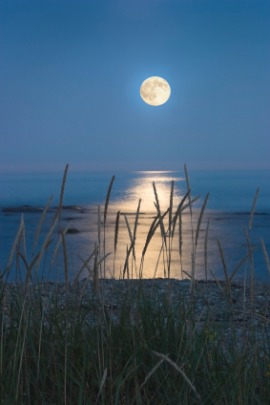 full moon