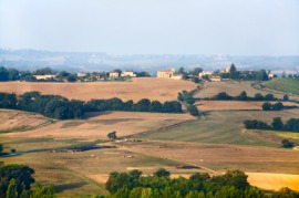 Gascony