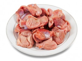 gizzard