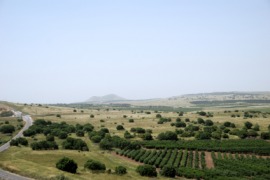 Golan Heights