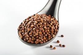 grains of paradise