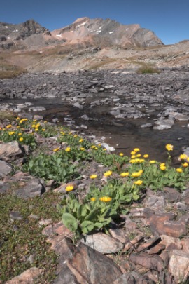 Gran Paradiso