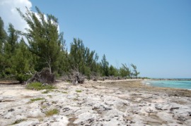 Grand Bahama
