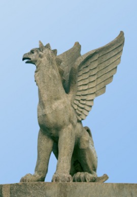 griffin