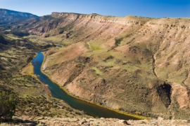 Gunnison