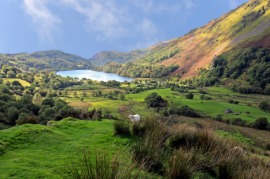 Gwynedd