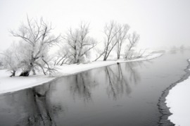 Havel