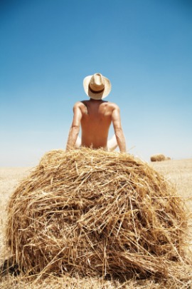 haystack