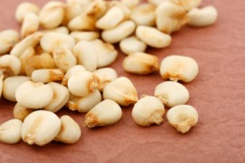 hominy