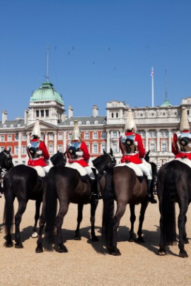 Horse Guard