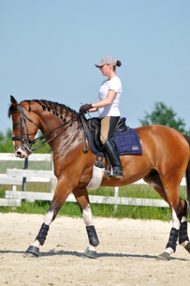 horsemanship