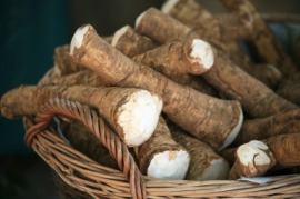 horseradish