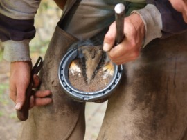 horseshoe