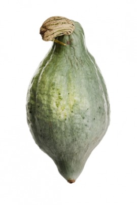 Hubbard squash