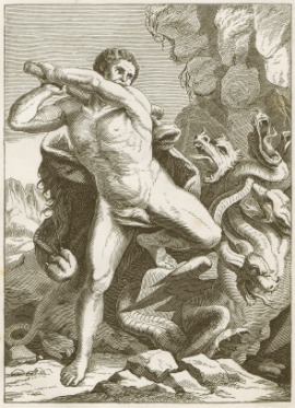 Hydra