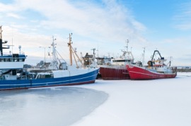 icebound