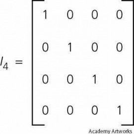 identity matrix