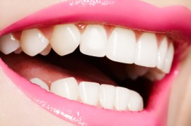 incisor