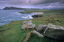 Irish