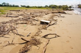 jetsam