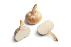 jicama
