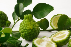 kaffir lime