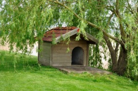 kennel