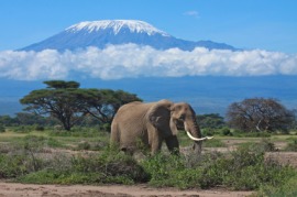 Kenya